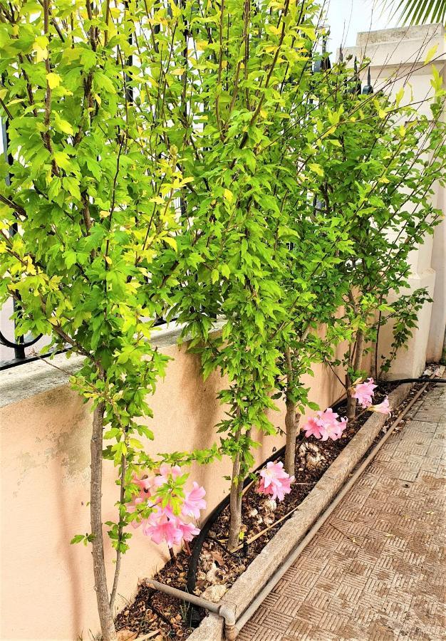 Barbarano del Capo Villa Nel Salento - Ampie Camere E Giardino, Fino A 9 Persone מראה חיצוני תמונה